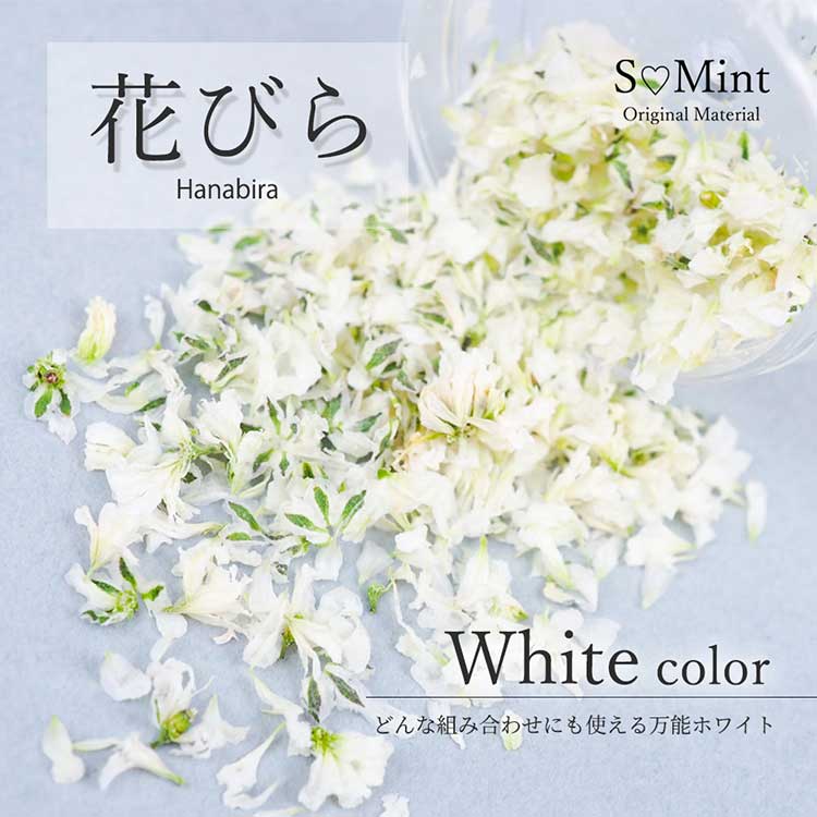 hCt[ / Ԃтi512j / -White color-i00j